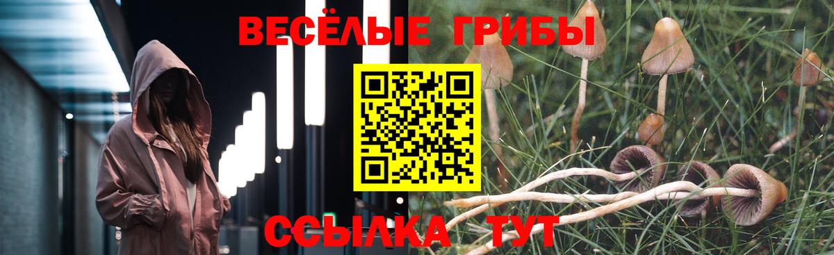 Новошахтинск  купить наркотики сайты  Вход с VPN  Галлюциногенные грибы MAGIC MUSHROOMS 